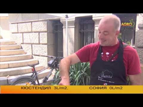 Видео: Що е то „бял мъж“