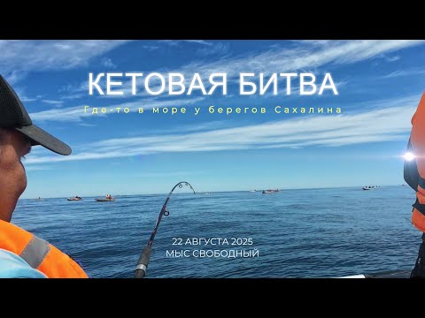 Видео: Сахалин. Кетовая битва