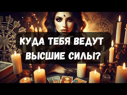 Видео: КУДА ТЕБЯ ВЕДУТ ВЫСШИЕ СИЛЫ?! #таро #психология