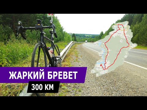 Видео: 300 км за день на велосипеде. Бревет "Осиный угол"