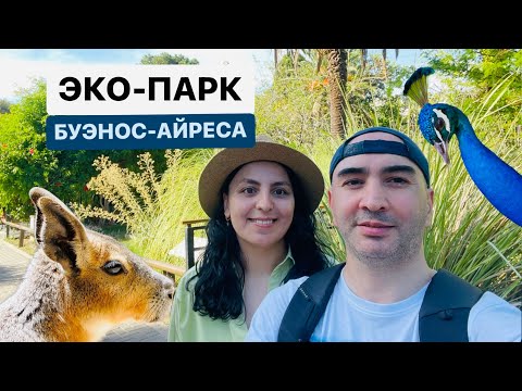 Видео: Экопарк - Зоологический сад в самом центре Буэнос-Айреса