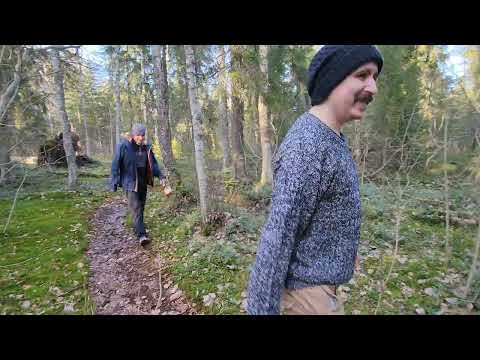 Видео: Кузнечное, скалы (маёвка 2025)