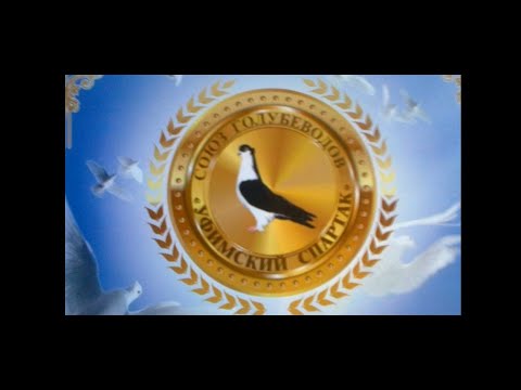 Видео: АНОНС  ВЫСТАВКА ЯРМАРКА ГОЛУБЕЙ в УФЕ 17 ДЕКАБРЯ 2022 года