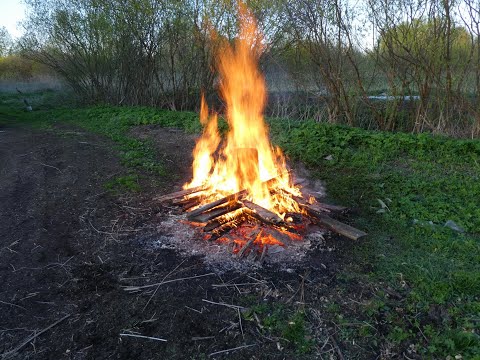 Видео: Древесный уголь и осиновый дёготь кустарным способом