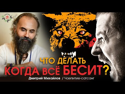 Видео: КОГДА ВСЁ БЕСИТ. Дмитрий Михайлов. Чаепитие-Сатсанг.