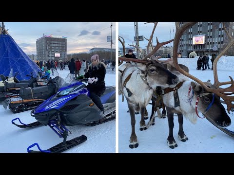 Видео: ВОРКУТА ДЕНЬ ОЛЕНЕВОДА / ГОНКИ НА ОЛЕНЬИХ УПРЯЖКАХ 2023🦌