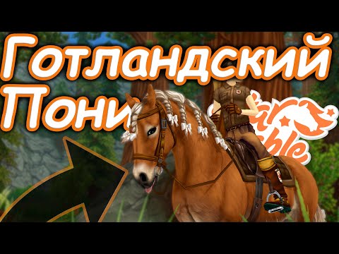 Видео: ПОКУПКА ГОТЛАНДСКИХ ПОНИ! | САМЫЙ МИЛЫЙ ПОНИ! | Star Stable