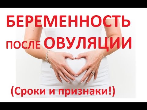 Видео: 🤰Когда наступает Беременность после 💥Овуляции (тесты/признаки)