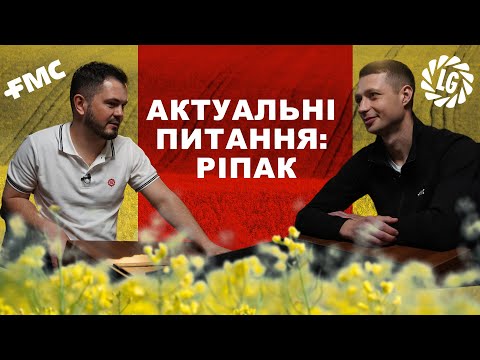 Видео: Актуальні питання щодо вирощування ріпаку