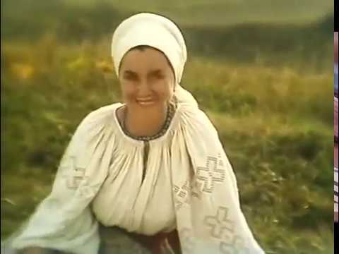 Видео: 🇺🇦Дорога на січ.