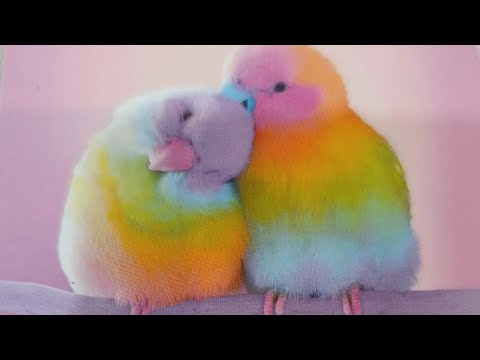 Видео: Кто в Шоке от Вас ⁉️