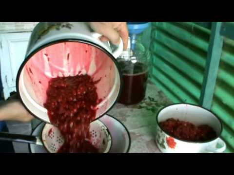 Видео: вино вишневое *шипучее*Как сделать шипучее вино дома.