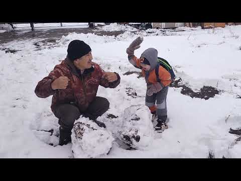 Видео: первый снег 2024