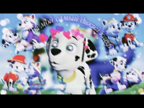 Видео: 🤤💫Маршалл и Эверест💫🤤(Дикий каеф)~Для канала 🍌Super Dilan🍌~🤤💫Marshall x Everest💫🤤