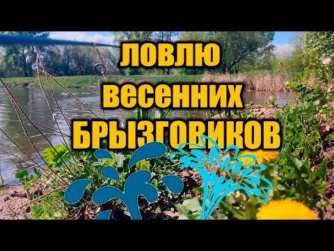 Видео: В поисках большого карася. Ловлю весенних БРЫЗГОВИКОВ!