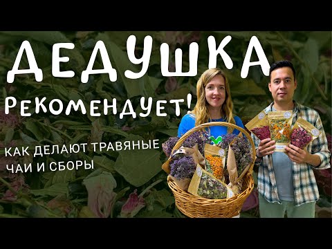 Видео: Дедушка рекомендует! Экскурсия в чайный домик | Как делают травяные чаи и сборы?