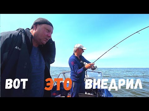 Видео: ПАЛКА В ДУГУ В ДЫМ ФРИКЦИОН!!! ВОТ ЭТО ВНЕДРИЛ! Рыбалка на Спиннинг