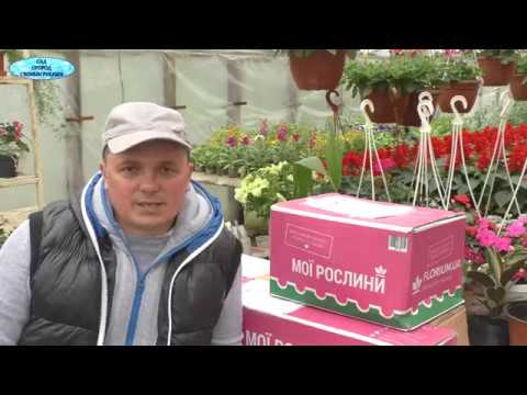 Видео: Большая посылка с интернет-магазина "Флориум". Распаковка.