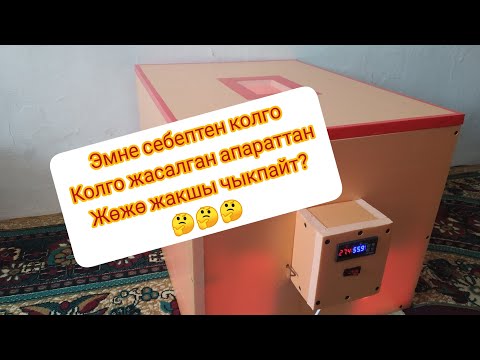 Видео: Инкубаторго ЖУМУРТКА 🥚 бастырганда кетирилген КАТАЛАР 😳