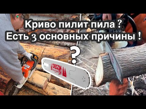 Видео: Почему криво пилит бензопила?топ 3 основных причины!