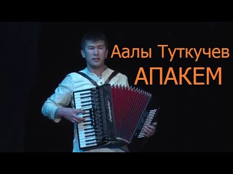 Видео: Аалы Туткучев-АПАКЕМ (АККОРДЕОН менен ЫРДАДЫ) (Full HD VIDEO)