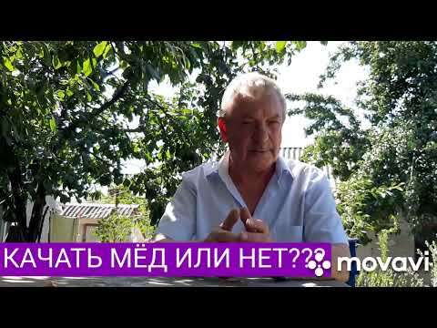 Видео: Качаем мёд или нет?