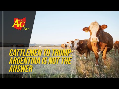 Видео: Скотоводы Трампу: Аргентина — не ответ