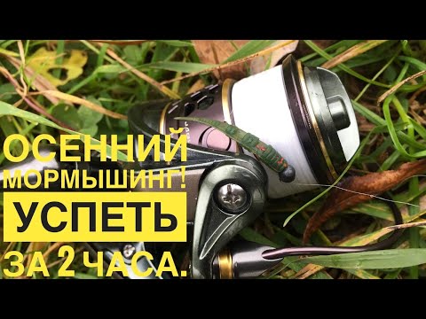 Видео: Мормышинг после обеда! Успеть за 2 часа! Fario NT Morm S