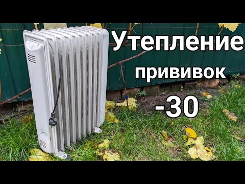 Видео: Как утеплить надёжно если прививка плохо вызрела. Технолоджия в действии! 💯😅