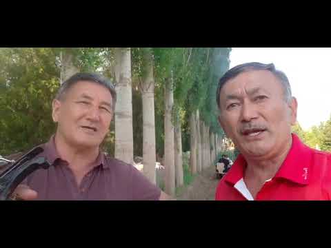 Видео: Өзіңді аңсап