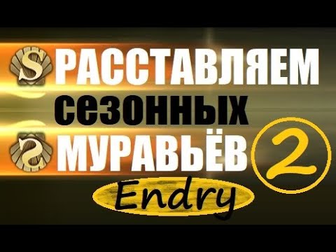 Видео: the ants underground kingdom - расстановка 12 сезонных муравьёв — отредактированное видео