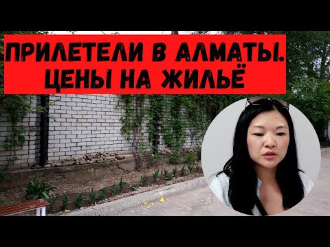 Видео: Прилетели в Алматы! Особенности транспортных штрафов. Обзор апартаментов. Как сэкономить на проезде