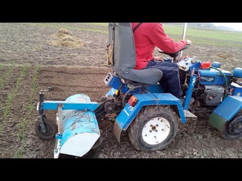 Видео: Робота Минитрактора с фрезой