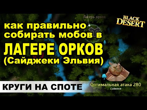 Видео: 📌САЙДЖЕКИ (Эльвия): 400кк+/1ч ТОП Споты для фарма серебра в BDO - Black Desert
