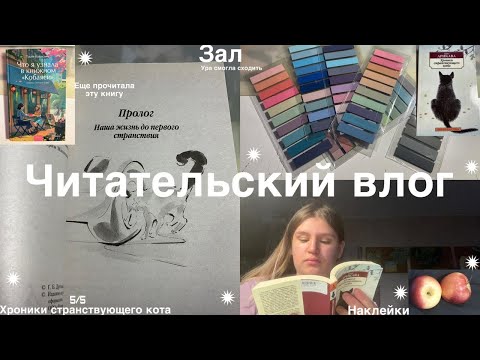 Видео: Читательский влог♡Хроники странствующего кота, зал, наклейки♡