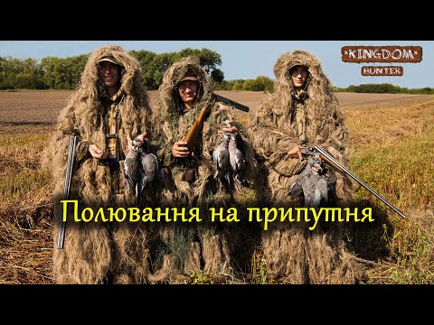 Видео: Полювання на припутня