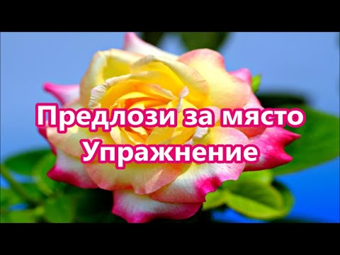 Видео: Предлози за място. Упражнение № 1