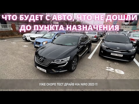 Видео: АВТО ИЗ КОРЕИ. Что дальше с машинами которые застряли? Samsung SM6. Обзор авто на аукционе Glovis