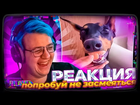 Видео: Пятёрка ПЫТАЕТСЯ не ЗАСМЕЯТЬСЯ с UNUSUAL MEMES COMPILATION V253