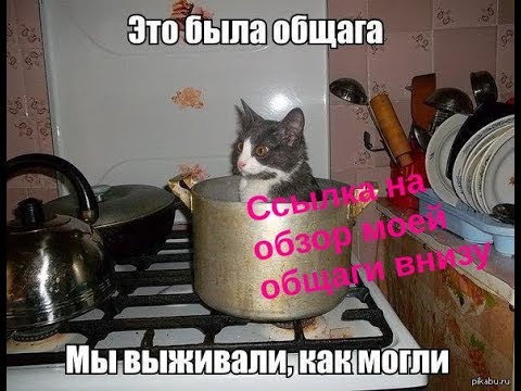 Видео: Общага БГСХА