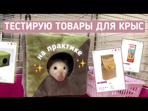 Видео: ТОВАРЫ ДЛЯ КРЫС ИЗ РАСПАКОВКИ 🐀🛍 | ОЦЕНКА ПОСЛЕ ИСПОЛЬЗОВАНИЯ