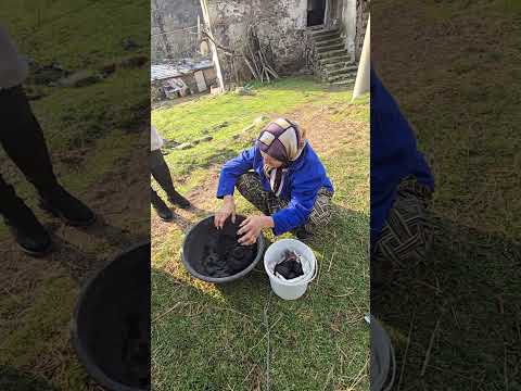 Видео: Мумио - Баба Севда от село Кушла