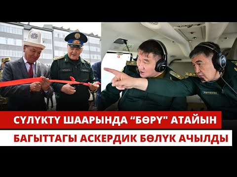 Видео: Сүлүктү шаарында “Бөрү" атайын багыттагы аскердик бөлүк ачылды