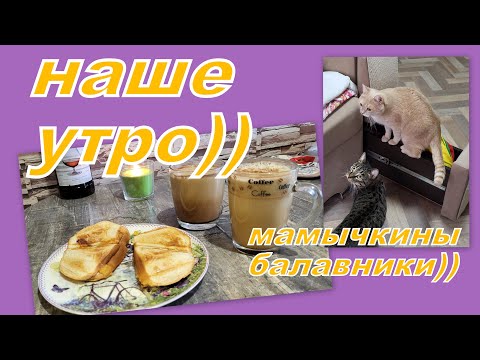 Видео: ВЛОГ:  НАШЕ УТРО, ЧТО ПОЧИТАТЬ, ПУШИСТИКИ ОТЖИГАЮТ НЕ ПО КОШАЧЬИ...