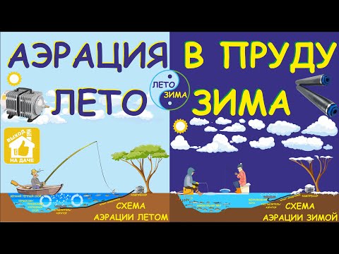 Видео: Аэрация в пруду ❄️зима-лето🌞