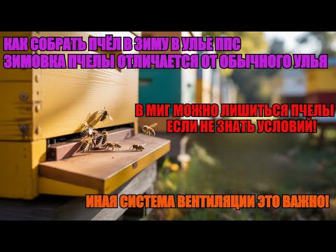 Видео: Как СОБРАТЬ ПЧЁЛ В ЗИМУ В УЛЬЕ ППС иная СИСТЕМА ВЕНТИЛЯЦИИ ПОЧЕМУ ЭТО ОЧЕНЬ ВАЖНО ДЛЯ ЗИМОВКИ 🐝🐝🐝