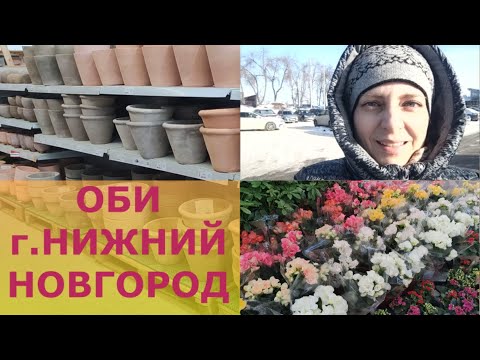 Видео: ГДЕ КУПИТЬ ПРОФСЕМЕНА ПЕТУНИИ? ПРИСМОТРЕЛА КЕРАМИЧЕСКИЕ ГОРШКИ ДЛЯ САДА.