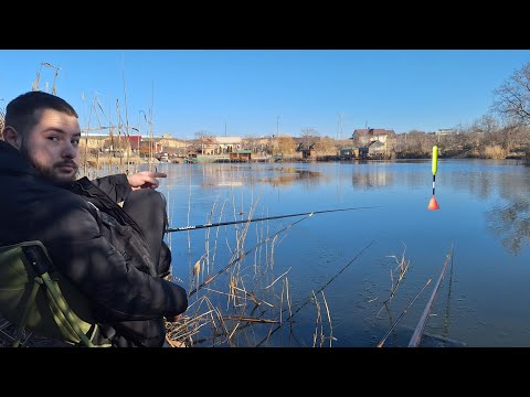 Видео: Рибалка у січні на ПОПЛАВОК. Ловля на поплавочну вудку. Рибачим з товаришем. Дністер Маяки 2025