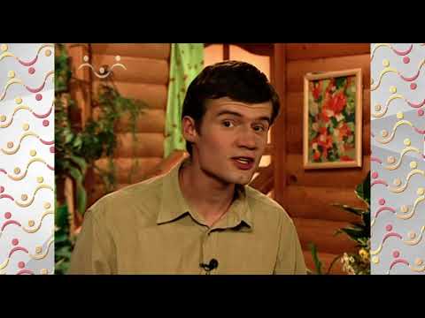 Видео: Шишкин Лес. Мастерская тёти Аллы. Живучка ползучая