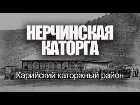 Видео: Нерчинская каторга. Карийский каторжный район | Александр Литвинцев